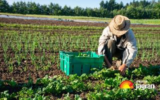 Retail Inflation For farm, Rural Workers Eases Marginally In January
